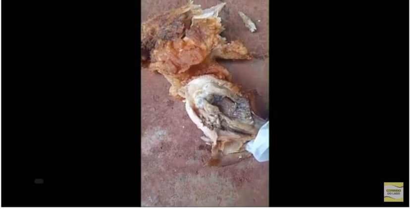Vítima mostrou em imagens o frango totalmente tomado por larvas (Foto Reprodução/Correio do Lago/YouTube) Vítima mostrou em imagens o frango totalmente tomado por larvas (Foto Reprodução/Correio do Lago/YouTube)
