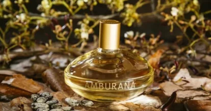 Amburana – L’Occitane au Brésil (Foto: Divulgação) Amburana – L’Occitane au Brésil (Foto: Divulgação)