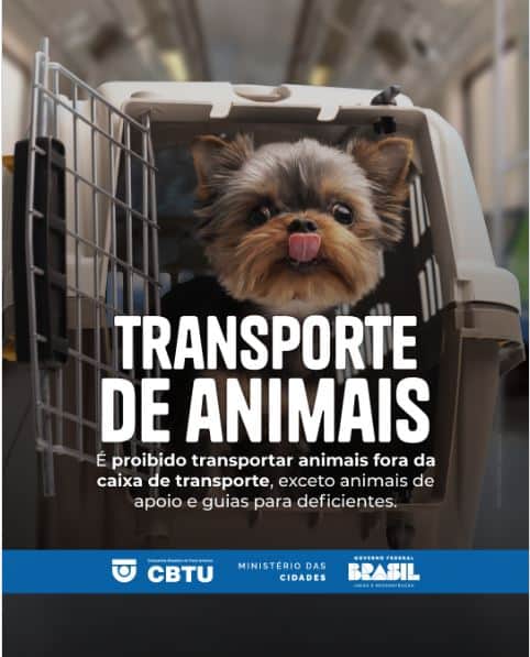 Transporte de animais no metrô de Recife, Pernambuco - Foto: Instagram