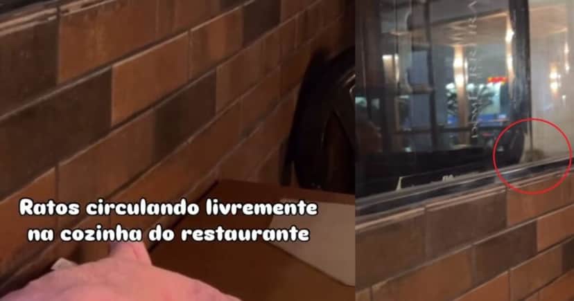 Imagens registradas do rato nas dependências da cozinha, através de um vídeo amador feito por uma cliente, em março de 2025 (Foto Reprodução/Montagem/TV Foco/G1) Imagens registradas do rato nas dependências da cozinha, através de um vídeo amador feito por uma cliente, em março de 2025 (Foto Reprodução/Montagem/TV Foco/G1)