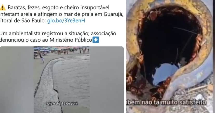 Imagens coletadas do vídeo (Foto Reprodução/Montagem/Tv Foco) Imagens coletadas do vídeo (Foto Reprodução/Montagem/Tv Foco)