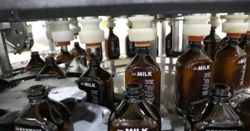 Garrafas de leite da Oberweis Dairy Inc. (Foto Reprodução/Chicago Tribune) Garrafas de leite da Oberweis Dairy Inc. (Foto Reprodução/Chicago Tribune)