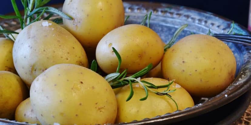Batata, Rugas Batata, Rugas