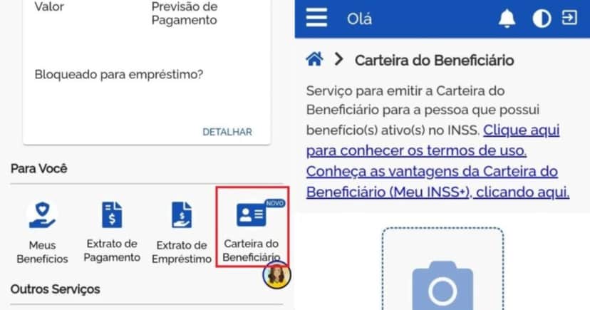 Carteira do Beneficiário (Foto: Reprodução/ Internet) Carteira do Beneficiário (Foto: Reprodução/ Internet)