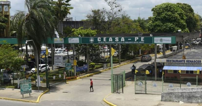 Os queijos eram vendidos como seguros até para comerciantes do Ceasa de Recife (Foto Reprodução/Folha Pê) Os queijos eram vendidos como seguros até para comerciantes do Ceasa de Recife (Foto Reprodução/Folha Pê)