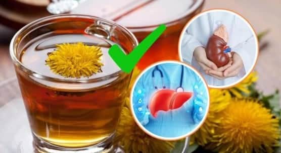 Chá natural elimina a gordura no fígado e melhora a função renal (Foto: Reprodução / Canva) Chá natural elimina a gordura no fígado e melhora a função renal (Foto: Reprodução / Canva)