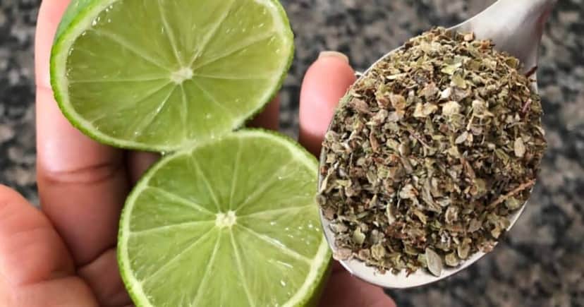 Limão e orégano são ingredientes do chá - Foto: Montagem Limão e orégano são ingredientes do chá - Foto: Montagem