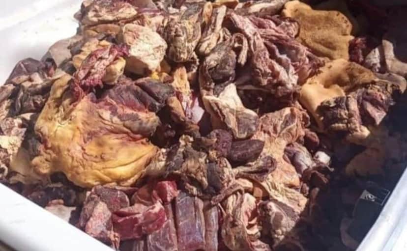 Carnes em decomposição encontradas em mercado nº1 da Bahia (Foto: Reprodução/I Bahia) Carnes em decomposição encontradas em mercado nº1 da Bahia (Foto: Reprodução/I Bahia)