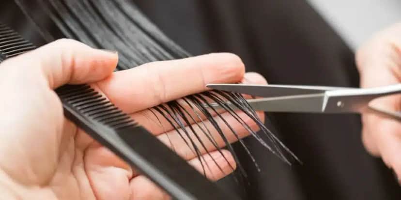 Corte (Foto: Canva) Corte (Foto: Canva)