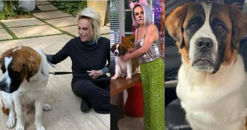 Apresentadora do Mais Você fez homenagem ao seu cachorro Capuccino (Foto: Reprodução/Montagem TV Foco) Apresentadora do Mais Você fez homenagem ao seu cachorro Capuccino (Foto: Reprodução/Montagem TV Foco)
