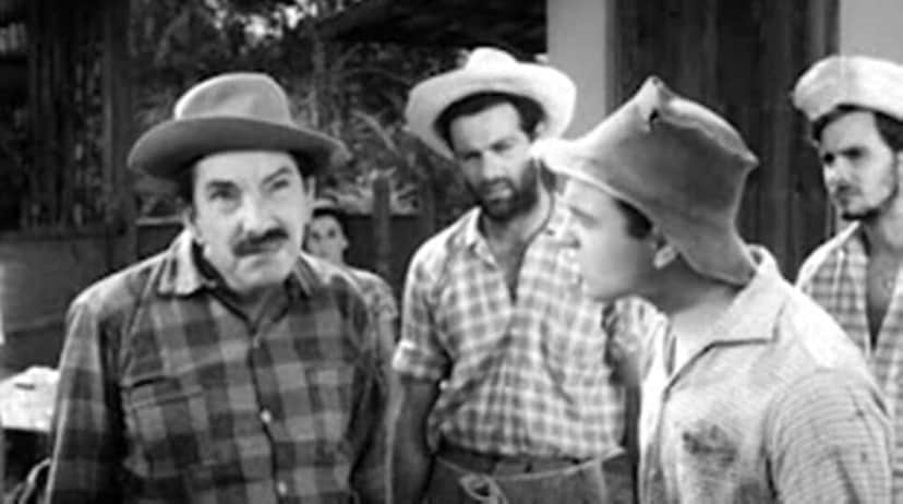 http://tvfoco.uai.com.br/wp-content/uploads/2015/05/Daniela-Mercury.jpg http://tvfoco.uai.com.br/wp-content/uploads/2015/05/Daniela-Mercury.jpg