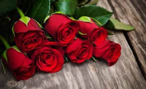 Separe sete rosas e faça uma oração (Foto Reprodução/Internet) Separe sete rosas e faça uma oração (Foto Reprodução/Internet)