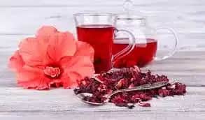 O chá de hibisco é um dos mais indicados (Foto Reprodução/Freepik) O chá de hibisco é um dos mais indicados (Foto Reprodução/Freepik)