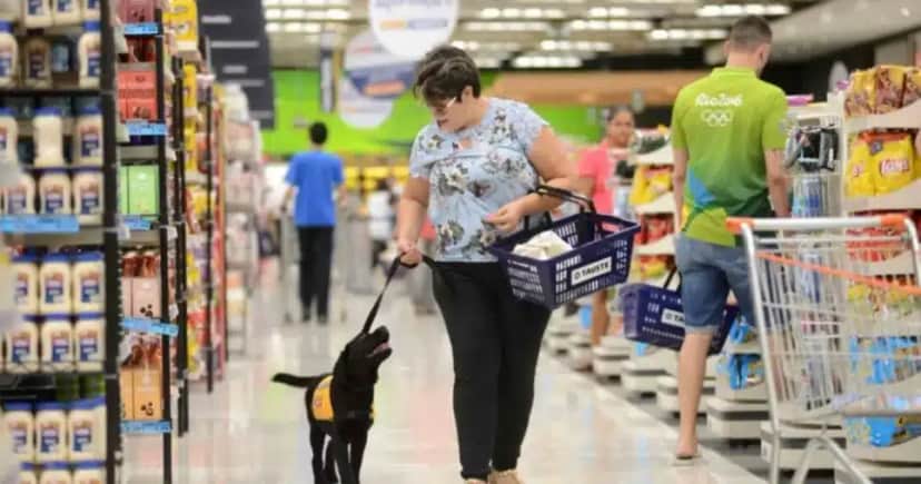 PL permite entrada de pets em supermercados de BH - Foto: Internet PL permite entrada de pets em supermercados de BH - Foto: Internet