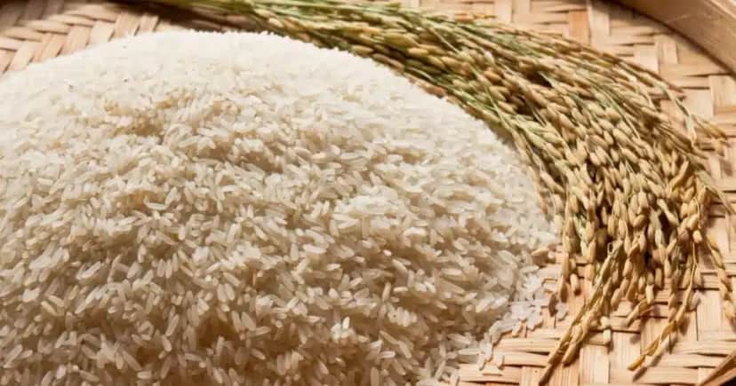 Arroz Arroz