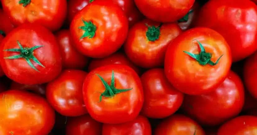 Tomate (Foto: Reprodução/Internet) Tomate (Foto: Reprodução/Internet)