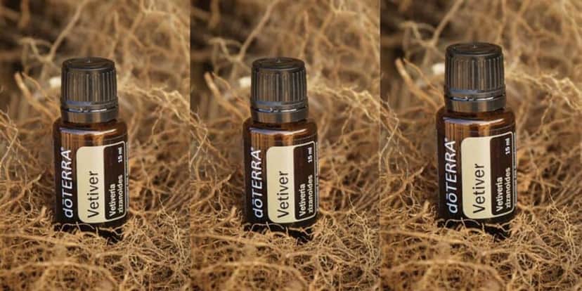Óleo de Vetiver (Reprodução: Canva)