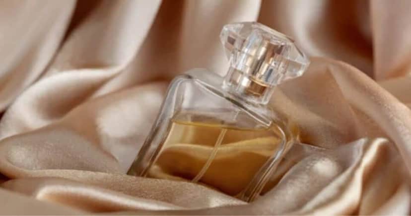 Alguns perfumes exalam sensualidade (Foto Reprodução/Montagem/Tv Foco/Canva) Alguns perfumes exalam sensualidade (Foto Reprodução/Montagem/Tv Foco/Canva)