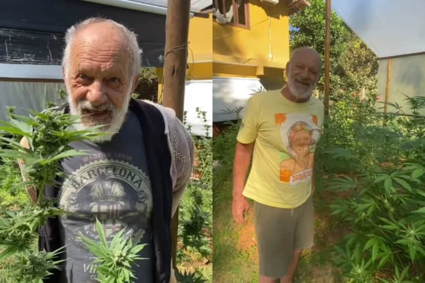 Estrela da Globo, Ricardo Petraglia, mostra plantação de maconha (Foto: Reprodução/ Montagem) Estrela da Globo, Ricardo Petraglia, mostra plantação de maconha (Foto: Reprodução/ Montagem)
