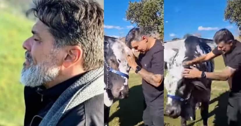 Maurício Mattar mostrando a rotina da vida no campo (Foto: Reprodução/Montagem/TV Foco/Instagram @mauriciomattar) Maurício Mattar mostrando a rotina da vida no campo (Foto: Reprodução/Montagem/TV Foco/Instagram @mauriciomattar)