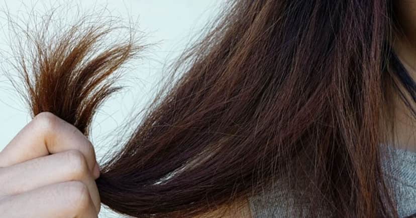 Cabelo castanho escuro também podem ser danificados com o tempo (Foto Reprodução/Freepik) Cabelo castanho escuro também podem ser danificados com o tempo (Foto Reprodução/Freepik)