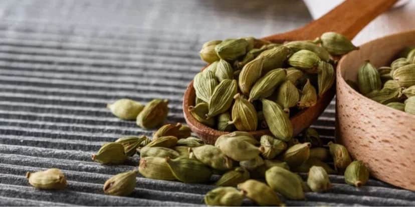 Semente do cardamomo é um grande auxiliar digestivo (Reprodução: Divulgação) Semente do cardamomo é um grande auxiliar digestivo (Reprodução: Divulgação)