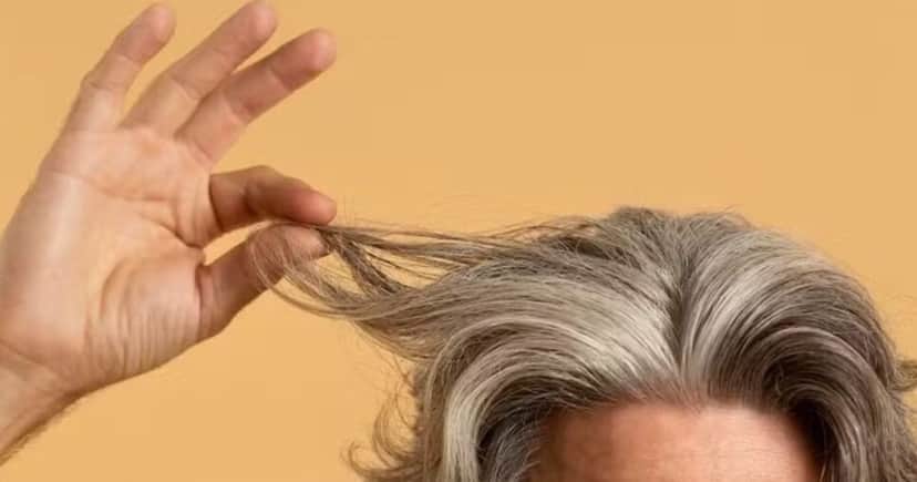 Cabelo grisalho - Foto: Freepik Cabelo grisalho - Foto: Freepik