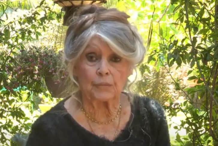 Brigitte Bardot (Foto: Reprodução / YouTube) Brigitte Bardot (Foto: Reprodução / YouTube)
