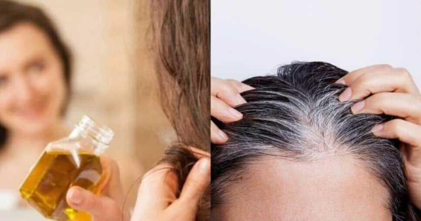 Óleo natural acaba com o cabelo grisalho e reverte até o último fio branco - Montagem/TV FOCO Óleo natural acaba com o cabelo grisalho e reverte até o último fio branco - Montagem/TV FOCO