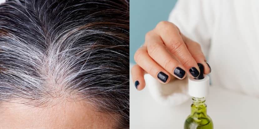 Óleo natural para acabar com o cabelo branco (Reprodução: Montagem TV Foco) Óleo natural para acabar com o cabelo branco (Reprodução: Montagem TV Foco)