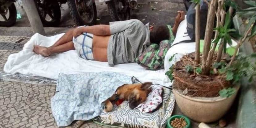 Abrigos obrigados a aceitas pets em Belo Horizonte (Reprodução: Divulgação) Abrigos obrigados a aceitas pets em Belo Horizonte (Reprodução: Divulgação)