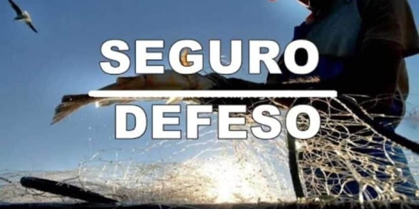 Seguro Defeso garantido aos pescadores (Reprodução: Divulgação) Seguro Defeso garantido aos pescadores (Reprodução: Divulgação)