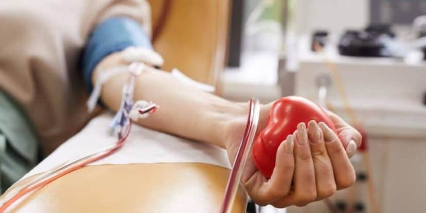Doar sangue pode garantir meia-entrada na Bahia (Reprodução: Divulgação) Doar sangue pode garantir meia-entrada na Bahia (Reprodução: Divulgação)