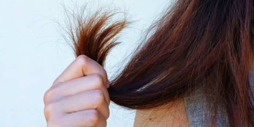 Evite que seu cabelo fique ressecado com essas dicas (Reprodução: Divulgação) Evite que seu cabelo fique ressecado com essas dicas (Reprodução: Divulgação)