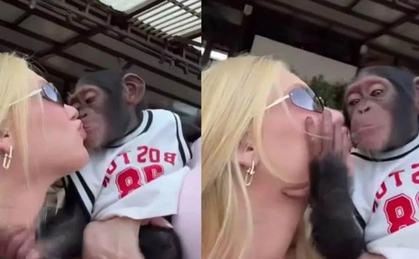 Virginia Fonseca publicou video com macaco (Foto: Reprodução / Instagram) 