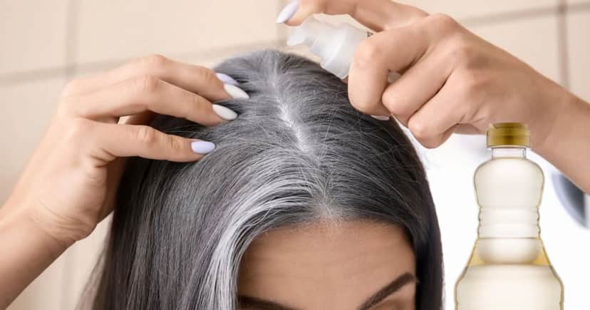 Mistura com vinagre ajuda a camuflar o cabelo branco em casa (Foto Reprodução/Montagem/TV Foco/Canva/Paola) Mistura com vinagre ajuda a camuflar o cabelo branco em casa (Foto Reprodução/Montagem/TV Foco/Canva/Paola)
