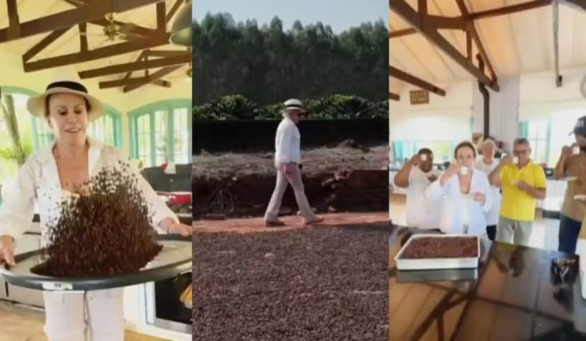 Ana Maria Braga mostra o cafezal em sua fazenda (Foto: Reprodução/ Globo) Ana Maria Braga mostra o cafezal em sua fazenda (Foto: Reprodução/ Globo)