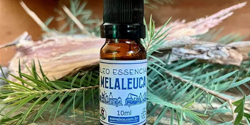 Óleo de melaleuca ajuda a fortalecer a unha (Reprodução: Divulgação) Óleo de melaleuca ajuda a fortalecer a unha (Reprodução: Divulgação)