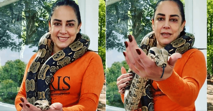 Silvia Abravanel diz que tem 10 cobras de estimação (Fotos: Reprodução / Instagram) Silvia Abravanel diz que tem 10 cobras de estimação (Fotos: Reprodução / Instagram)