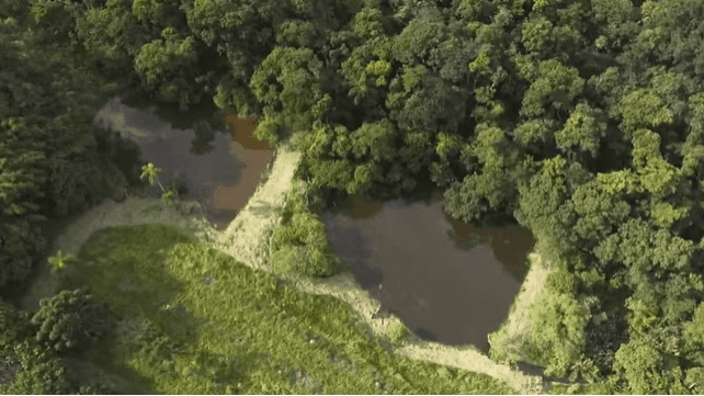 Detalhes da fazenda (Foto: Reprodução / TV Globo) Detalhes da fazenda (Foto: Reprodução / TV Globo)