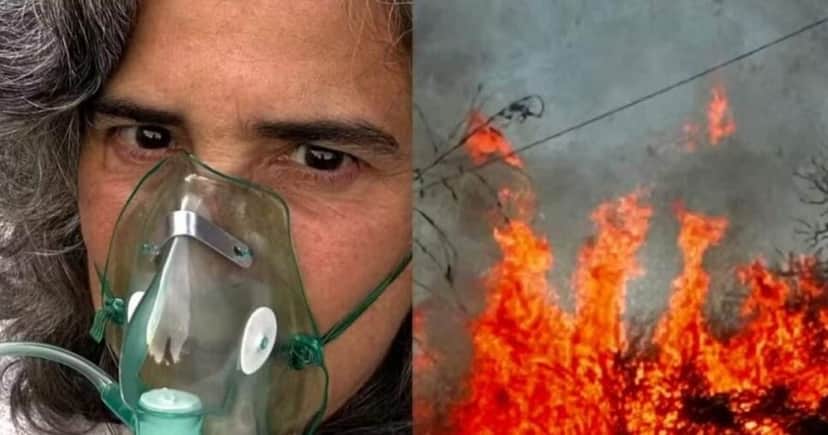 Fazenda de Lúcia Veríssimo sofreu com incêndio (Foto Reprodução/Instagram)