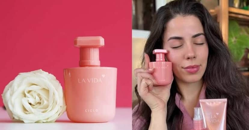 La Vida - Ciclo Cosméticos (Foto Reprodução/Montagem/Lennita/TV Foco/TikTok/ML)