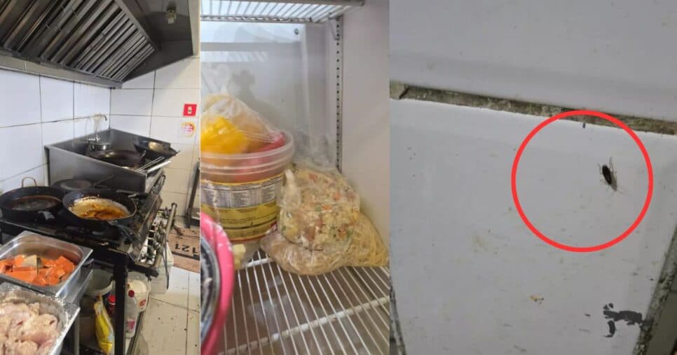 Restaurantes são interditados após nojeira e comida podre (Foto Reprodução/Montagem/Vigilância Sanitária)