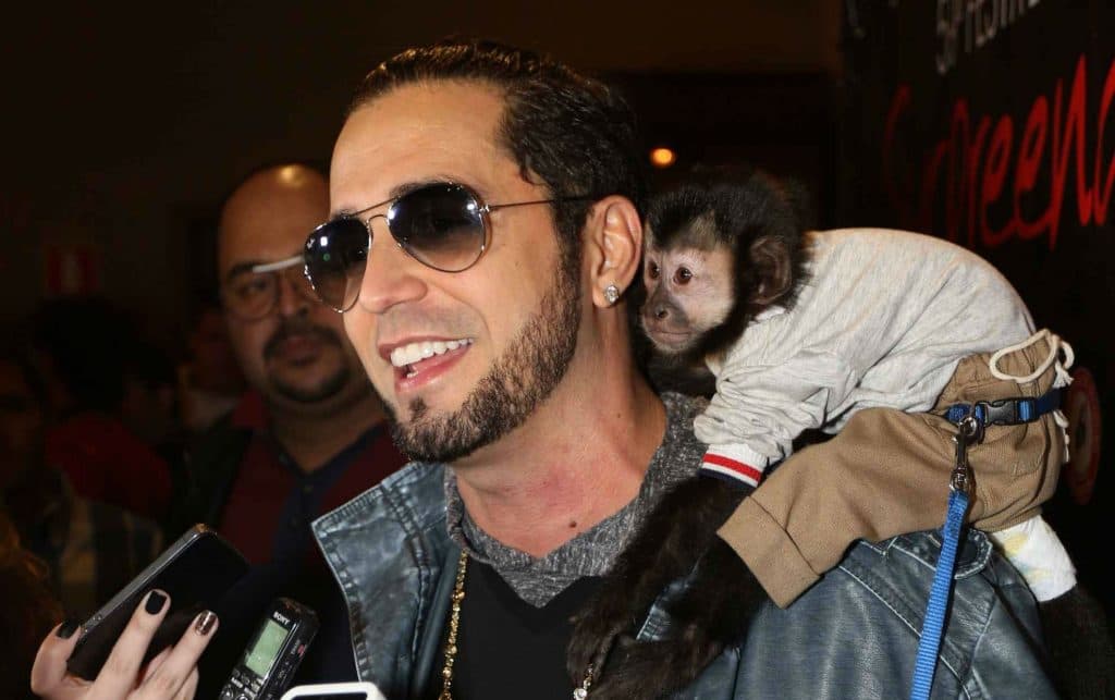 Latino chora com sumiço de macaco de estimação: "Mundo desabando"