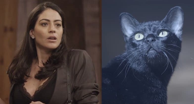 Globo surpreende e gato León aparece na novela das 19h O Tempo Não Para