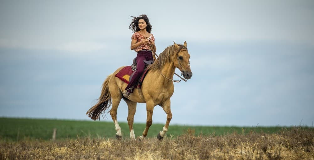 Elenco bombástico, enredo arrebatador e tudo sobre A Dona do Pedaço, nova novela das nove