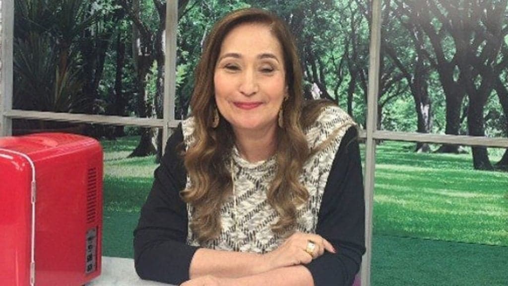 Sonia Abrão interrompe programa ao vivo para dar notícia bombástica de acidente grave de Edu Guedes: "Sendo levado"