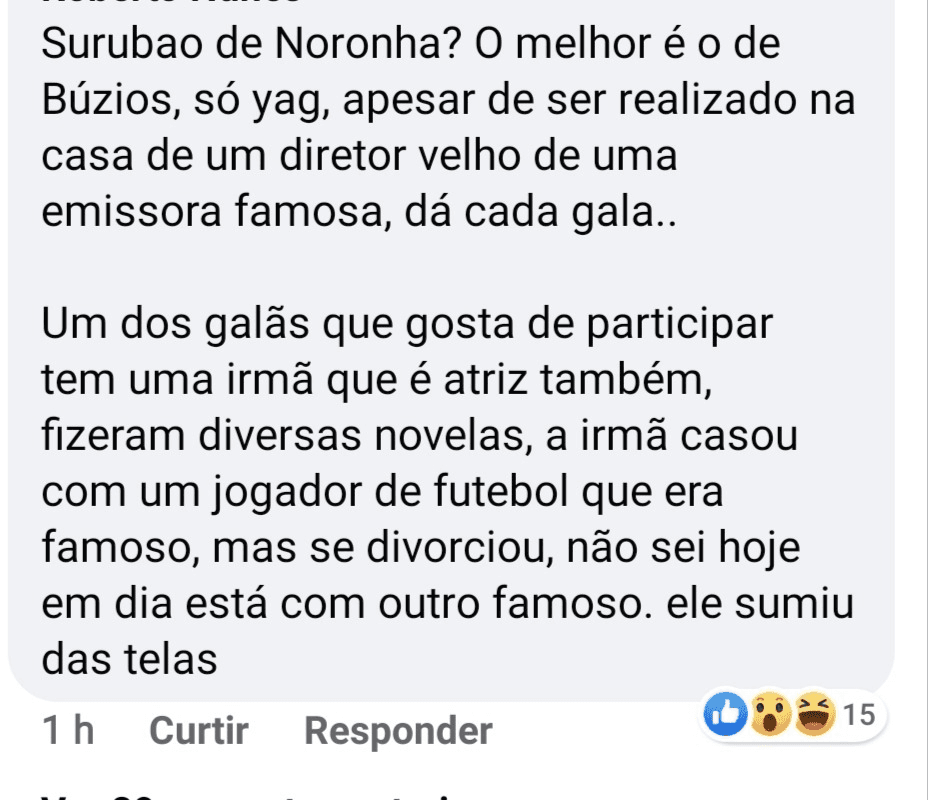 Relato sobre a festinha com celebridades (Foto: reprodução) Relato sobre a festinha com celebridades (Foto: reprodução)