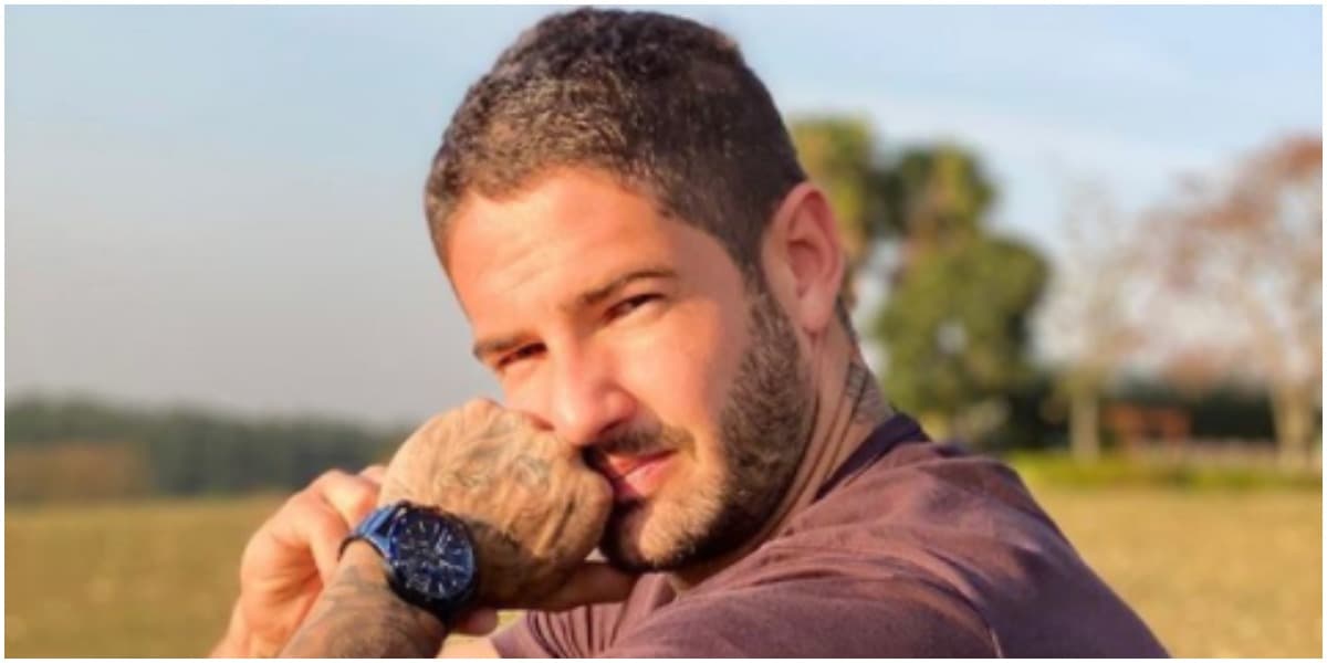 Pato se declarou para Rebeca Abravanel e recebeu pedidos de volta de torcedores (Foto: Reprodução) Pato se declarou para Rebeca Abravanel e recebeu pedidos de volta de torcedores (Foto: Reprodução)