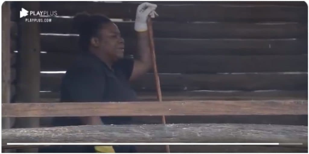 A Fazenda: Jojo fica pasma ao se deparar com cena e entra em desespero: "Vão transar na minha frente?"